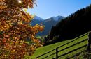Goldener Herbst