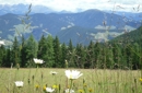 Wochenpauschalen Sommer