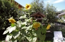 Sommer in Niederdorf =)