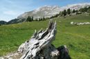 Dolomiti Super Summer