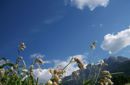 Musik & Berge