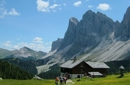 Am Puls der Natur