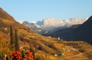 Goldener Herbst!
