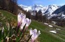 Pausa di benessere in primavera