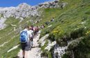 Settimane estive sull’Alpe: escursioni e relax