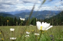 Speciale estate in Montagna