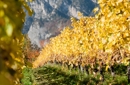 Settimana delle mountainbike