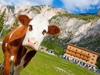 Albergo Rifugio Pederü - St. Vigil in Enneberg - Dolomiten Bild 6