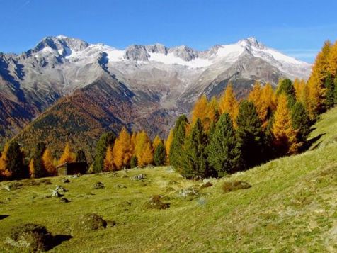 Autunno dorato in Valle Aurina