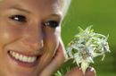 Bergblumen-Harmonie am Karersee