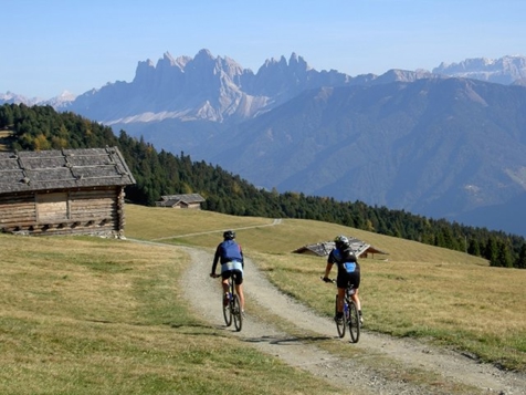 Bici