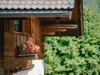 Blumenresidence Karnutsch - St. Walburg - Meran und Umgebung Bild 1