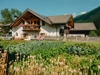 Blumenresidence Karnutsch - St. Walburg - Meran und Umgebung Bild 5