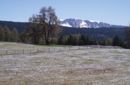 primavera in alto adige