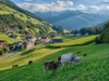 Das Gallhaus - St. Johann - Tauferer Ahrntal Bild 19