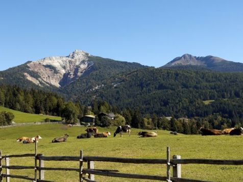 Entdecke die Südtiroler Berge