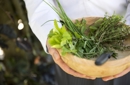 Cultura e erbe aromatiche