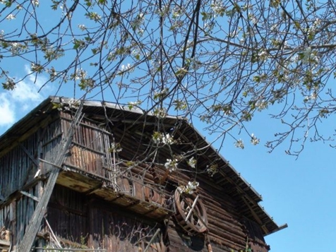 Frühlingsgefühle