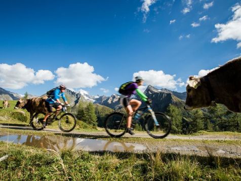 Goldener Herbst im Ahrntal