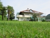 Haus Seerose - S. Giuseppe al Lago - Bassa Atesina Immagine 1