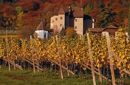 Goldener Herbst