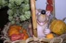 Erntezeit ist Törggelezeit