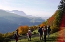 Goldener Herbst