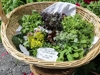 Hotel Haus an der Luck - Barbiano - Valle Isarco Immagine 12