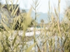 Hotel Tiefenbrunn - Lana - Meran und Umgebung Bild 2