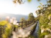 Hotel Tiefenbrunn - Lana - Meran und Umgebung Bild 4