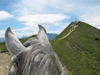 Huberhof - Ratschings - Eisacktal Bild 15