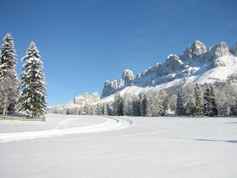 Neve