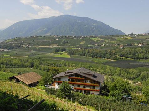 Pension Petaunerhof - Schenna - Meran und Umgebung