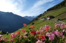 Offerta speciale al "Roanerhof"