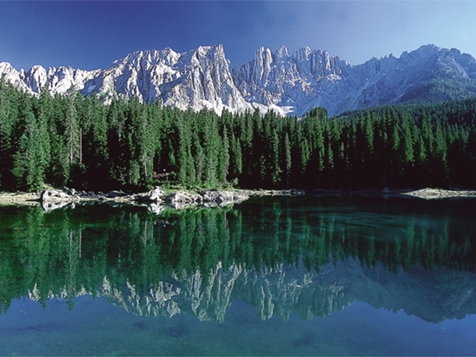 Settimana verde tra "natura e bosco"
