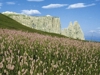 Wanderhotel Teiserhof - Funes - Valle Isarco Immagine 10