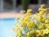 Wellnesshotel Glanzhof & Residence - Marling - Meran und Umgebung Bild 14