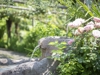Wellnesshotel Glanzhof & Residence - Marling - Meran und Umgebung Bild 16