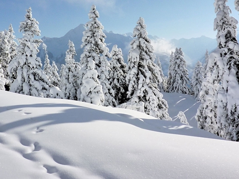 Winter Winter
