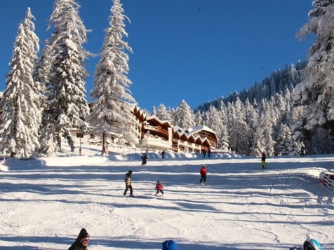 Wintertraum Wintertraum