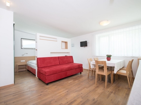 1-Zimmer-Apartment für 2-3 Personen image 9