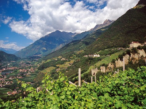 104 apartment panoramic view Castle Tirolo image 4