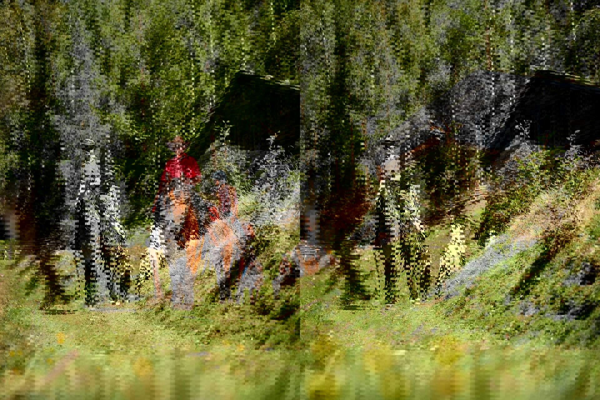 A cavallo nelle Valli di Tures e Aurina - Alto Adige A cavallo nelle Valli di Tures e Aurina - Alto Adige