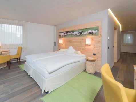 Almsuite Adlerhorst image 8