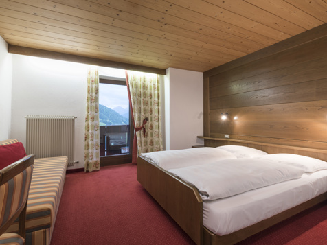 Alpen Nest Room image 1