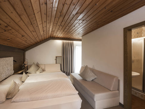 Alpen Nest Room image 2