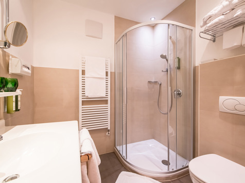 Alpin double room image 5