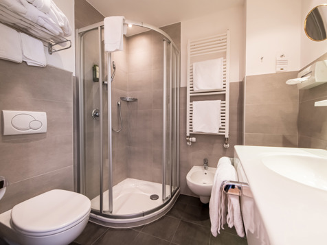 Alpin Panorama double room image 5