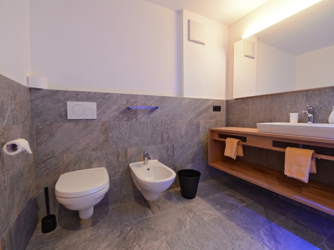 Alpin Suite (38m²) image 3