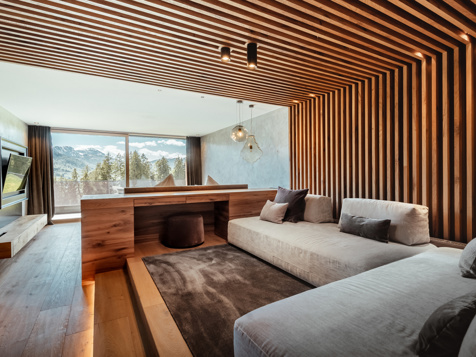 Alpin Suite image 5